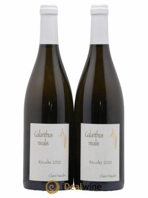 Vin de France Galanthus Nivalis Naudin-Ferrand (Domaine) 