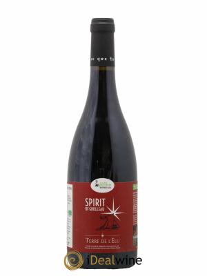 Vin de France Spirit of grolleau Carsin Terre de l'écu