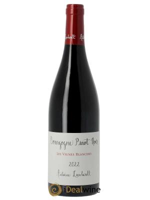 Bourgogne  Pinot noir Vignes Blanches Antoine Lienhardt