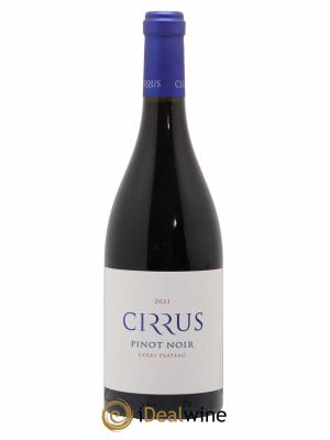 Afrique du Sud Pinot Noir Cirrus Ceres Plateau