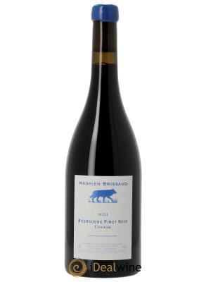 Bourgogne Pinot Noir Croteau Hadrien Brissaud
