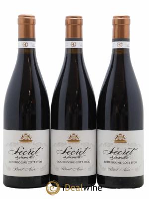 Bourgogne Pinot Noir Secret de famille Albert Bichot 