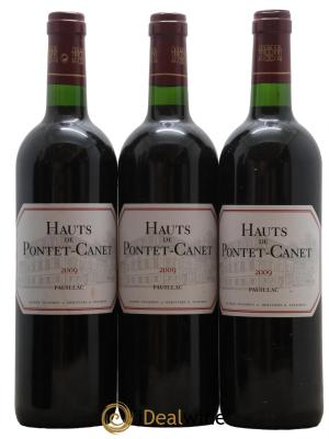 Les Hauts de Pontet-Canet Second Vin 