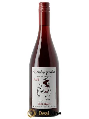 Vin de France Raisins Gaulois Marcel Lapierre (Domaine)