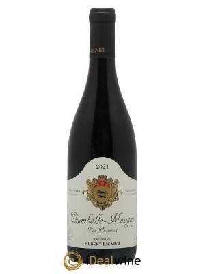 Chambolle-Musigny Les Bussières Hubert Lignier (Domaine)