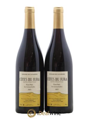 Côtes du Jura Pinot Noir Les Lumachelles Cavarodes (Domaine des) - Etienne Thiébaud