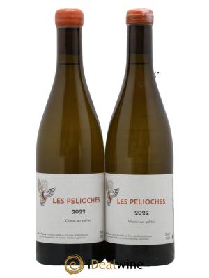 Vin de France Les Pelioches Clos des Breteches